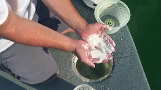 How to Backwash a DE Filter