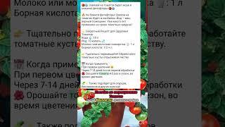 Секреты Петровна по выращиванию томатов