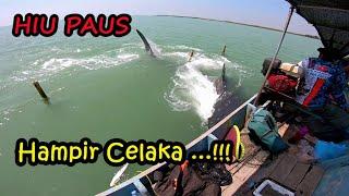 Hampir Celaka...‼️‼️ Mancing Kakap Putih Dikepung Ikan "HIU PAUS" (Whale Shark) Laut Demak