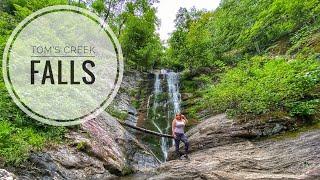 EXPLORING | | Tom’s Creek Falls - Pisgah National Forest (Marion, NC)