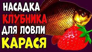 ПРОСТАЯ НАСАДКА ДЛЯ ЛОВЛИ КАРАСЯ в стоячих водоёмах И ДРУГОЙ РЫБЫ!!