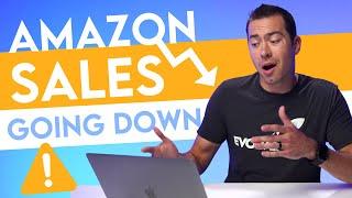 Are YOUR Amazon Sales Down Or Are Everyone's Sales Down