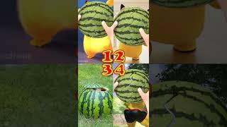 Mochi Family Funny video 