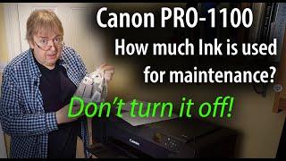 Canon PRO-1100 printer. How much ink is used up for maintenance. Why you should leave it switched on