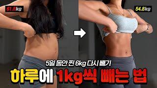 하루에 1kg씩 감량한 꿀팁 알려드림! (2주 다이어트 챌린지)