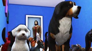 I Abducted Everyone's Pets and Ruined the Neighborhood in The Sims 4