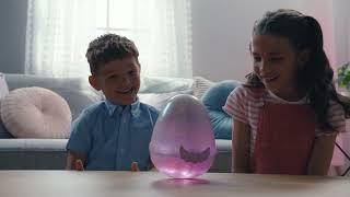 Hatchimals Alive Mystery Hatch - How To