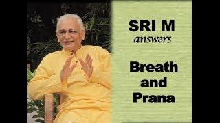 Sri M - (Short Video) - "What is the difference between Breath and Prana?"