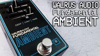 Walrus Audio | Fundamental Ambient | VIDEO REVIEW [NO TALK / ONLY TONES]