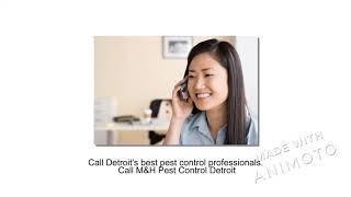 Pest Control Mexican Town South West Detroit - M&H Pest Control Detroit