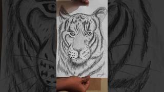 Realastic tiger sketch X  kissiki song edit #sketch art #artedit #dhananamv