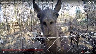 Mini Zoo - Lesopark Berek Nové Zámky - Náučný chodník Berek