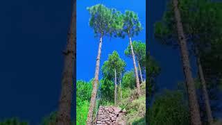 most beautiful view of Kashmir ajk #beautiful #kashmir #nature #ajk