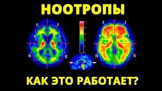 Как работают ноотропы на самом деле?