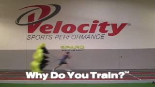 Train Like a Pro at Velocity Sports Performance