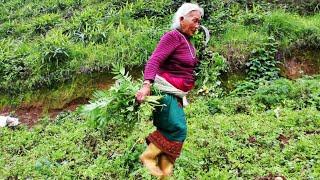 Very Beautiful Nepali Village With Traditional Lifestyle || Hardworking Farmers Life || Db Limbu