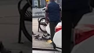 New York Street Food vendor uses Pigeons #newyork #nyc #streetfood #vendors #food