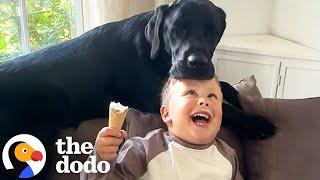 Unbreakable Bonds: Kids and Pets Growing Up Side by Side | The Dodo