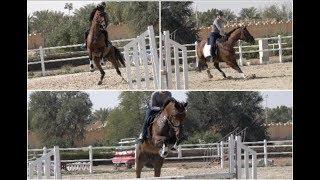 Gabbana Jumping (F.t. A Naughty Moment!)
