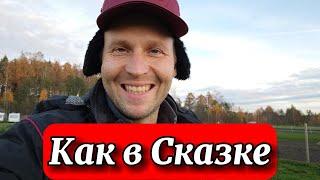 По щучьему велению, по моему хотению  #чеснок #кони   @Serverokchannel#vlog 