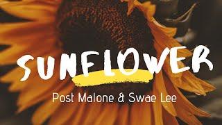 Post Malone & Swae Lee - Sunflower (Lyrics)