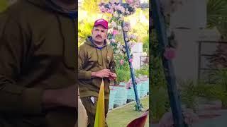 ja main bawafa ha ta to ki a # chef Waqas hafazabadi #bad puli gazi pur #for you apliy