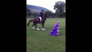 Bareback Jumping