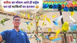 Birds se Breeding Lene Ki Shuruaat Kab Karen  || सभी बर्ड्स को ब्रीडिंग के लिए मटकिया कब देंगे?