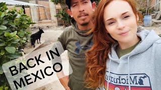 Our Family Life in Mexico - EMOTIONAL Return to my Husband and Son in Mexico.