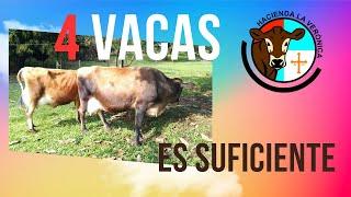 4 VACAS SON SUFICIENTES