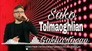 Sarkis Tolmaoghlian Live 2020*3 In Yerevan