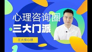 心理咨询圈的三大门派 | 心理咨询师入门必看 | 王大侠心理