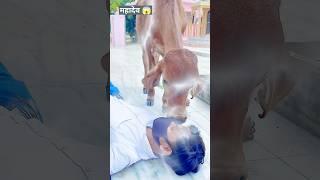 Hu Ru Ru#trending #shorts #shortvideo #youtubeshorts