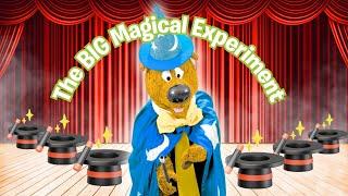 MAGIC SURPRISE!  Humphrey B. Bear’s Amazing Wizard Adventure