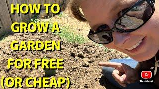 HOW TO FIND AND GROW PLANTS FOR FREE!