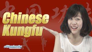 Beginner Mandarin Chinese Kungfu! with eChineseLearning