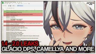 1.4 CAMELLYA, YINLIN RERUN, SHOREKEEPER BUFF, AND MORE | Wuthering Waves Leaks