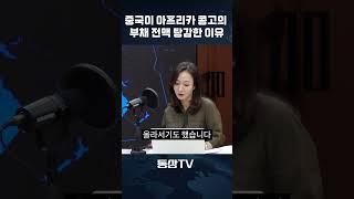 중국이 아프리카 콩고의 부채 전액 탕감한 이유 #콩고 #코발트 #중국