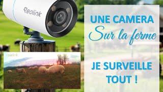 BIG SISTER: MONITOR YOUR FARM WITH REOLINK CAMERA