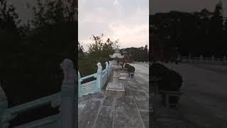 五智山光明王寺   #真言宗 #內門 #悟光法師