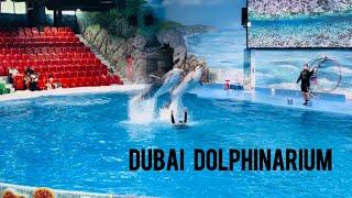 Dubai Dolphinarium | Amazing Dolphin and Seal Show in Creek Park Dubai | Best indoor attraction