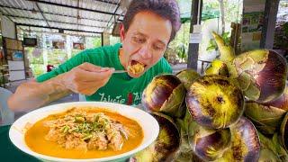 Toddy Palm Fruit Curry!! RARE THAI FOOD in Phetchaburi (เพชรบุรี), Thailand! 