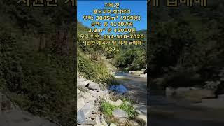 시원한 계곡가 땅 싸게 급매매 #안동땅 #안동부동산 #경북땅 #경북땅매매 #경북토지 #경북부동산 #의성땅 #의성땅매매 #의성땅매물 #의성토지매매 #의성토지
