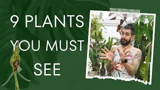  9 Crazy Houseplants You Won’t Believe Exist!  Part 6!