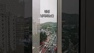 #진성 #남자의눈물 #7080인기가요 #트로트 #가요무대 #미스터트롯2