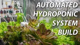 Build an Automated Hydroponic System