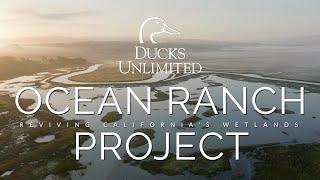 Reviving California's Wetlands: The Ocean Ranch Project