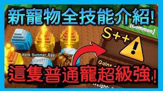 普通品質寵卻是最強!?//全夏日新寵物全技能數值統整介紹!//超級超模的夏日神寵!//培養花園更新速報!//成長花園//培養花園//Grow a Garden