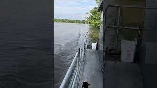 #shortvideo #boatlife  #houseboat #life #funtime #lakelife #lakeliving #vlog  #vlogger #vlogging