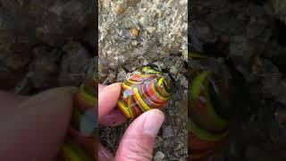 Best Mineral Finds – Nature’s Hidden Gems 